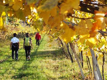 Bike Tour e trekking