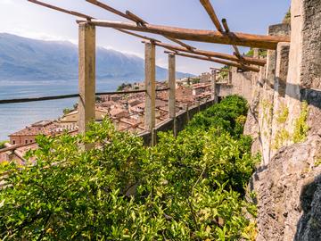 Limonaia in Limone