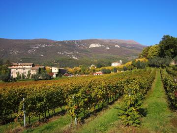 Valpolicella