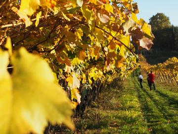 Lac de Garde et Valpolicella