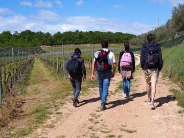 <h5>zu Fuss unter den Olivenbäumen und auf zwei Rädern zwischen den Weinbergen</h5>