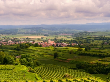  Expérience du vin Valpolicella